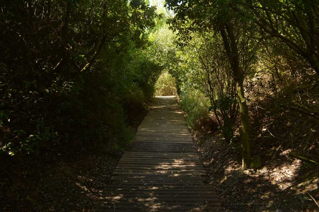 Centro Habitat Mediterraneo